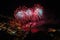 Beautiful and pyrotechnic fireworks in Recco, Italy / Fireworks in Recco, Genoa, Italy