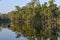 Beautiful quiet lake in Chitwan National Park on Nepal