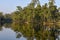 Beautiful quiet lake in Chitwan National Park on Nepal