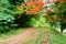 Beautiful railway track with red flower in nature field