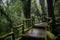 Beautiful rain forest at nature trails Ang Ka Doi Inthanon, Chian