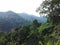 Beautiful rain forest with terraced hills as a background