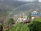 Beautiful Rainbow Behind Dense Evergreen Forest