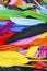 Beautiful rainbow color colored bird feathers. Parrot colors goose duck colorful painted feathers. Feather texture