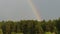 Beautiful rainbow over forest.