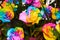 Beautiful rainbow roses in flower industry