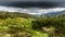 A beautiful rainy cloud over the mountain pasture overgrown with mountain pine