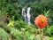 Beautiful Ramboda Waterfall in Central Province, Sri Lanka