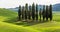 Beautiful range of tall trees in a green field during daytime