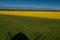 Beautiful rapeseed field with the shadow of a windmill in the foreground. in the spring in oland, Sweden. selective focus