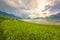 The Beautiful Ray of light Mountain and nature in rice terrace of Vietnam Landscape