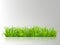 Beautiful realistic detailed fresh green grass, isolated on transparent background. Spring or summer object ready to use