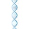 Beautiful realistic DNA blue colored double helix on white background