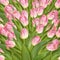 Beautiful realistic tulip background. EPS 10