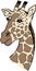 Beautiful, realistic, vector giraffe in nude shades