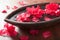 Beautiful red azalea flowers in wooden bowl for spa