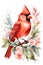 beautiful red cardinal bird on a branch with flowers