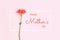 Beautiful red carnation against a pink background. Free space for text. Photo caption happy mother`s day. Greeting card