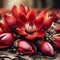 Beautiful red Color Flower Butea monosperma, known as Polash Flower