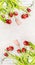 Beautiful red curved tulips with tags on white wooden background, top view, vertical floral border. Spring flowers