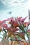 Beautiful red daylily flowers blossom in the garden