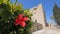 Beautiful red flower on shrub near medieval cyprus castle
