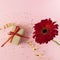 Beautiful red gerbera flower and gift box on pink background. Happy Mother`s Day, Women`s Day, Valentine`s Day or Birthday