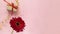 Beautiful red gerbera flower and gift box on pink background. Happy Mother`s Day, Women`s Day, Valentine`s Day or Birthday