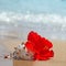 Beautiful red hibiscus flower on the beach