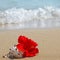 Beautiful red hibiscus flower on the beach