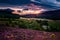 Beautiful Red and Orange Braemar Mountain Sunset landscape