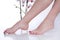 Beautiful Red Pedicured Feet and Relaxing Leg Spa on White Background