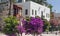 beautiful red and pink bougainvillea flowers in bodrum