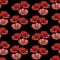 Beautiful red poppies on a black background.Vector seamless