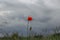 Beautiful red poppy flower close up storm clouds background. Wild spring flower on a meadow.Lonely poppy blossom on wild field.