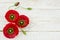 Beautiful Red Poppy flowers on bright background