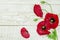 Beautiful Red Poppy flowers on bright background