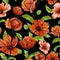 Beautiful red poppy flowers on green stems with leaves on black background. Seamless vivid floral pattern. Watercolor painting.