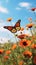 Beautiful_red_poppy_flowers_and_Monarch_butterfly_in_1690445079445_4