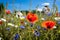 Beautiful_red_poppy_flowers_and_Monarch_butterfly_in_1690445079445_8