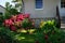 The beautiful red rhododendron blooms in June. Berlin, Germany