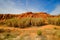 Beautiful red rocks on the beach Praia da Falesia in Algarve, Portugal