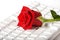 Beautiful red rose on white keyboard