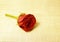 A beautiful red rose on yellow background