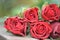 Beautiful red roses, on the right day for the woman in your heart, whom you love more than anything and who owe so much