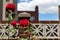 Beautiful Red Roses during Spring in a Home Garden in Astoria Queens New York