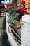 beautiful red roses on white fence at old house in street countryside. provence. floral alley. springtime. space for text.