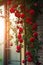 Beautiful red roses on the windowsill in the morning light