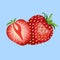 Beautiful red strawberry illustration. Strawberry fruit isolated. Blue background