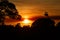 Beautiful red sunset in the brazilian Pantanal with jabiru nest on the background.